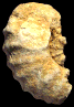 Romaniceras (Romaniceras) marigniacum