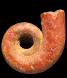 Worthoceras pacificum