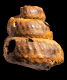 Mesoturrilites serpuliforme