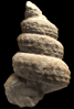Mariella (Mariella) cenomanensis