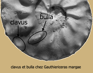 Bulla